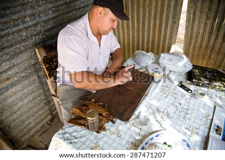 Pinar del Rio, Cuba - 2012, November 30 : A man who is manufacturing a cigar from dried tobacco leaves, Pinar del Rio, Cuba