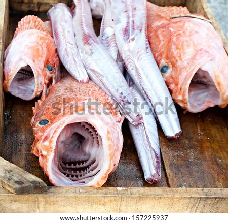 wooden box with fresh haul: raw fish with big open mouth and jaws closeup