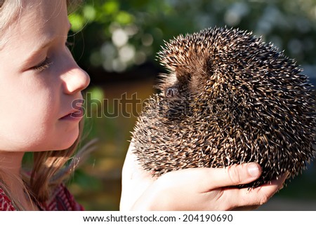 little smiling girl with cute European  hedgehog ball in hands, two profile view