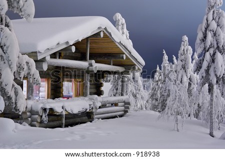 cozy cottage in dark winter forest