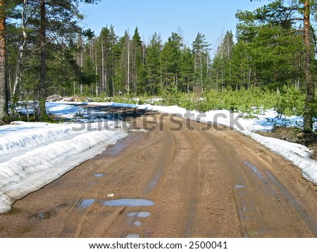 The Karelian wood spring road