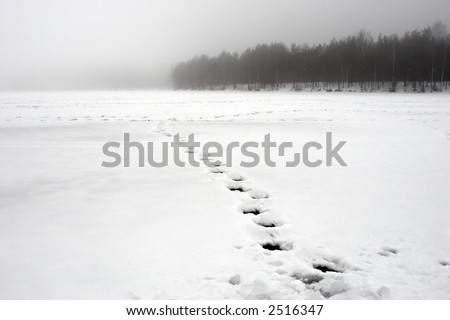 chain of footprints on iced lake