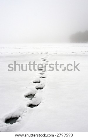 wet footprints on iced lake