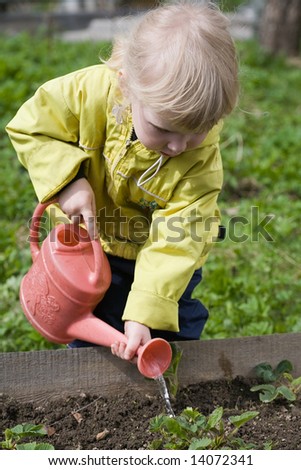little girl watering strawberry in the garden