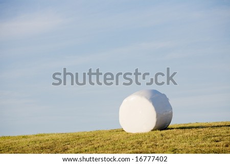 closeup of one roll of hay on mowed field and sky background