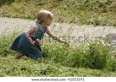 little girl picking wild flowers near the road