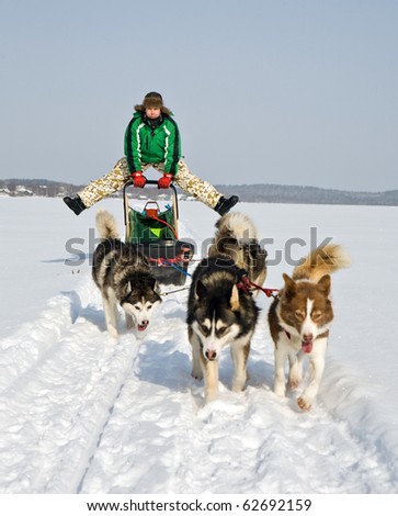 man in dog sledding travel across snow field