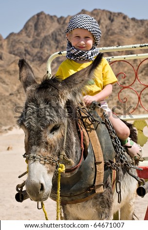 little girl in bedouin kerchief riding on a grey donkey