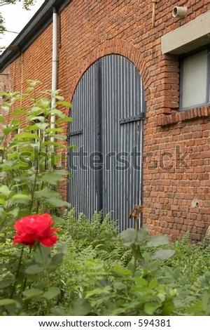 Blue and white cottage gate with blurry red rose in the foreground