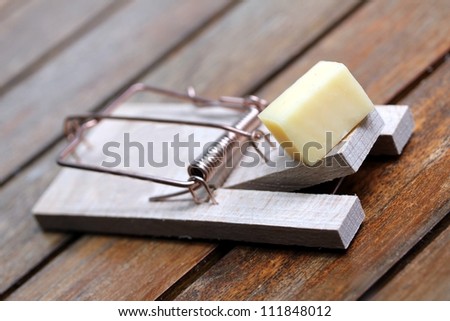 mouse trap with cheese
