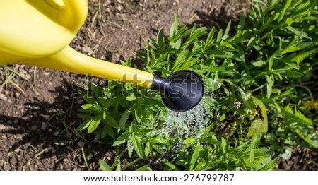garden work pour water