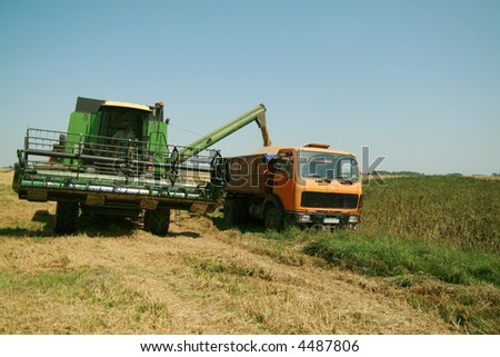 Combine is unloading wheat into a haul truck