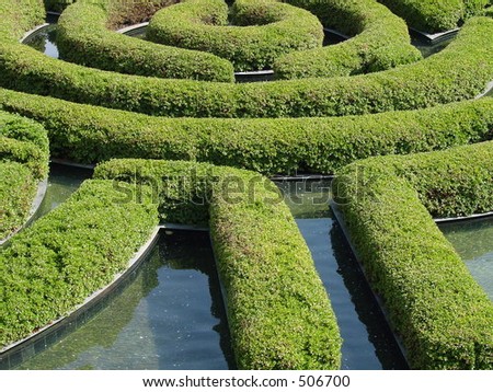 Maze Hedge
