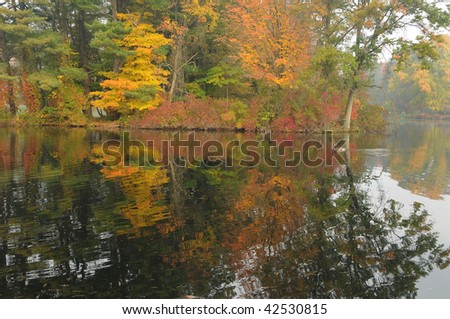 Fall foliage reflection in pond in the morning light.