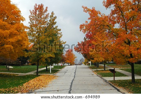tree lined street on clear fall day