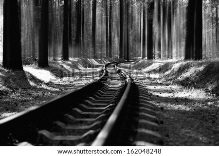 Railroad track in forest black &white