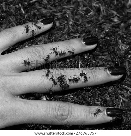 Ants on a female hand, fingers separately. Medical concept. Closeup, black and white
