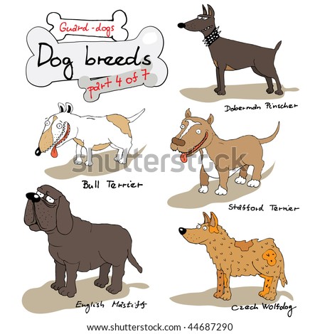 dogs breeds and pictures. Dogs Breeds And Pictures
