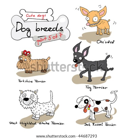 dogs breed names. above Fellow dog names and