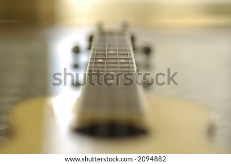 ukulele guitar fret board detail