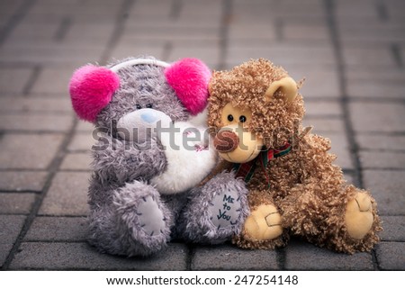 Couple of teddy bears sitting together on the street. couple boy and girl. bear girl keeps muff with inscription and also have an inscription on her feet \