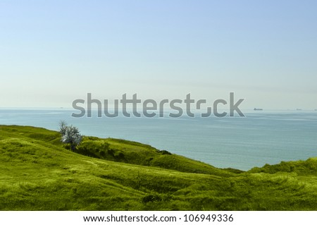Green grass landscape ocean horizon scene