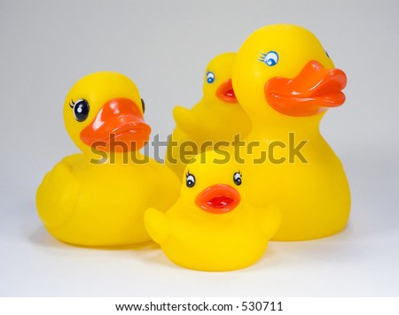 Rubber Duckies on White