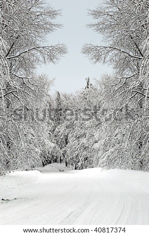 Rural roadway covered in winter snows - Christmas series - photo with pencil overlay (photo-illustration).
