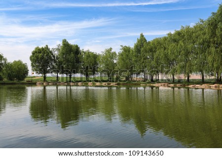 pond in the desert city\'s park