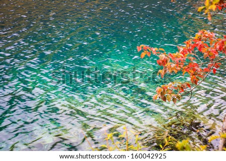 turquoise lake with red leaves in autumn at jiuzhai valley, sichuan, China.