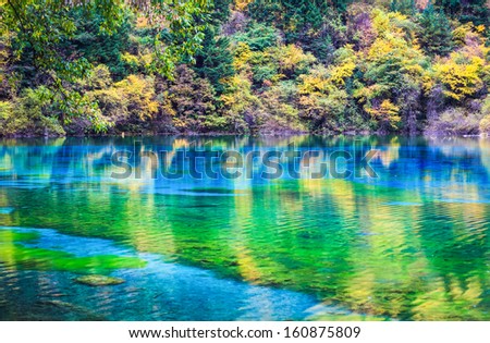 colorful lake in autumn at jiuzhai valley national park,  China.