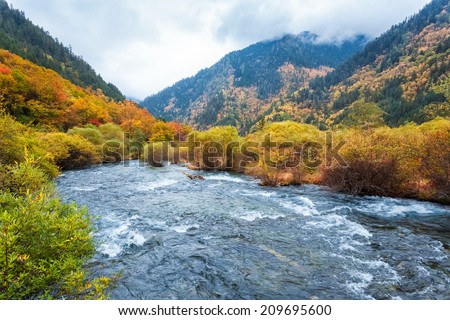 autumn forest and flowing creek in jiuzhaigou valley national park , China.