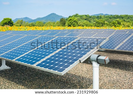 solar energy panels and sunflower farmland , clean energy concept