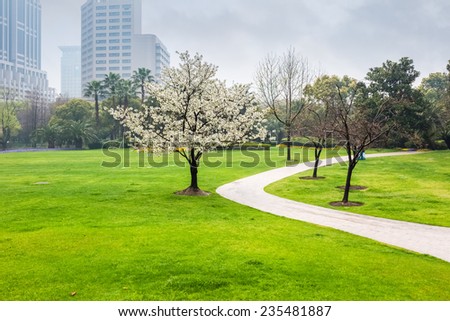 city park in the spring , green lawn field and  curved walk path