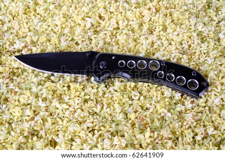 sharp folding knife with may flower background