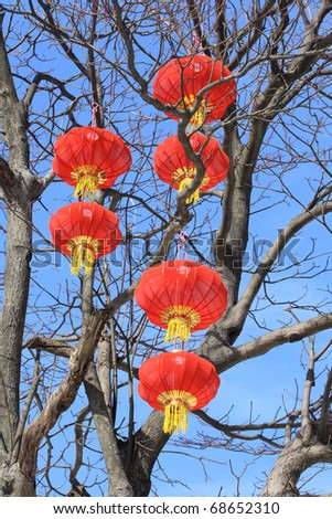 closeup of the red chinese lanterns on the tree