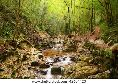 Hell\'s Stream (infernuko erreka), a mountain creek in the forest near Zugarramurdi\'s witches caves (Navarra, Spain)