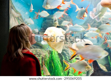 Girl looking at aquarium fish