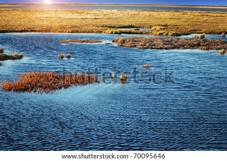 Landscape Of Tundra