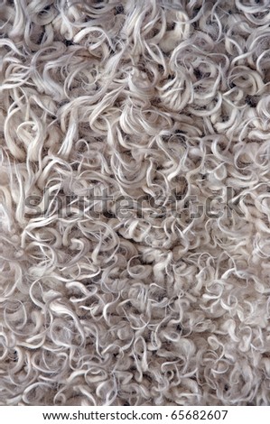 texture of the white sheep skin