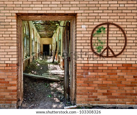 Abandoned building from the Manteno State Mental Hospital in Manteno, Illinois