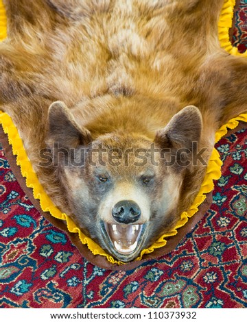 3,372 Bear Rug Royalty-Free Images, Stock Photos & Pictures