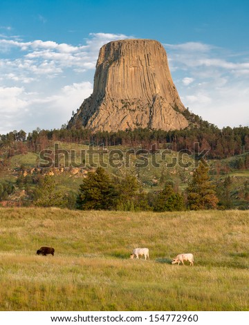 Animals grazing in front of Devils Tower National Monument at Devils Tower, Wyoming
