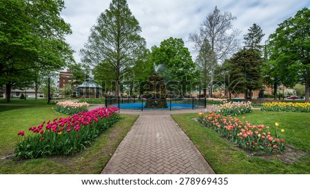 Tulips in Centennial Park in Holland, Michigan