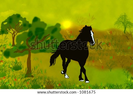 free horse in the nature free horse in the nature