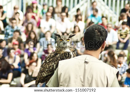 Real owl and stands with people