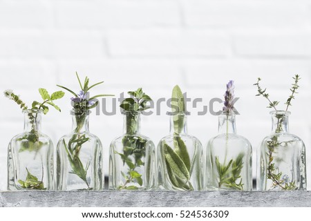 Bottle of essential oil with herbs lavender flower, basil flower,rosemary,oregano, sage, ,thyme and peppermint set up on white background .