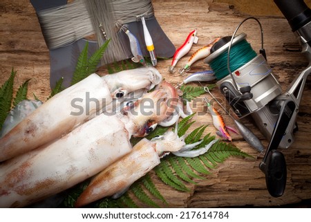 still life of squid fishing with fishing gear