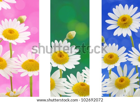 Spring flowers banners