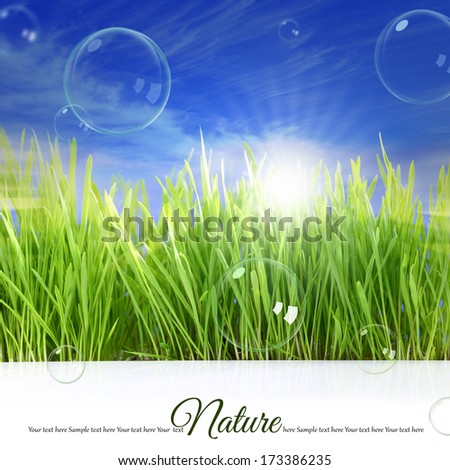 Happy background with grass, sky, sunlight and soap bubbles